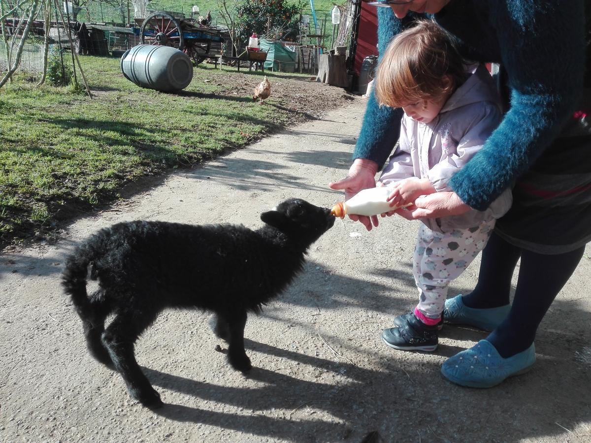Agroturismo La Casona De Belmonte Ovinana  Bagian luar foto