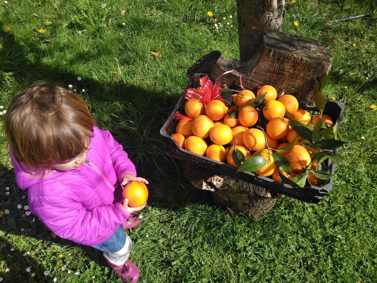 Agroturismo La Casona De Belmonte Ovinana  Bagian luar foto