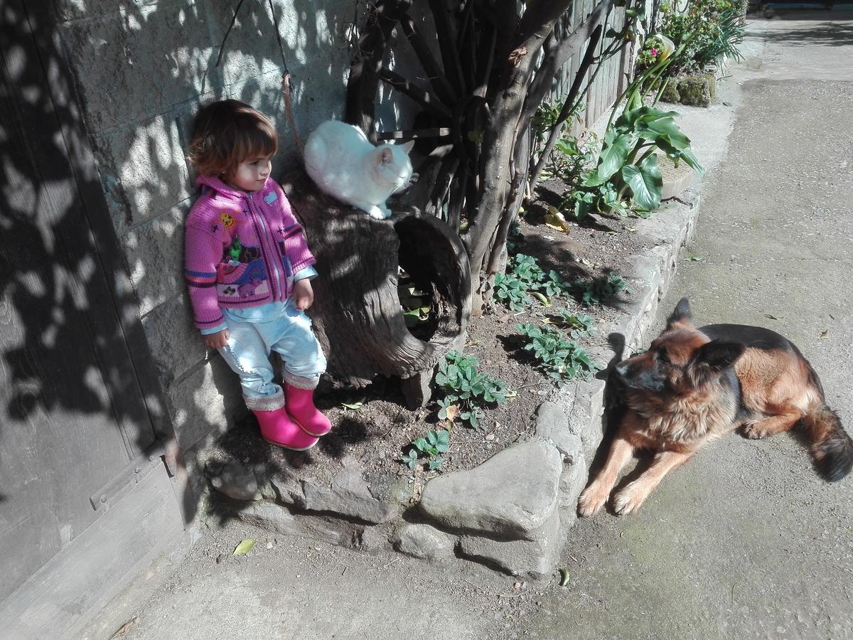 Agroturismo La Casona De Belmonte Ovinana  Bagian luar foto