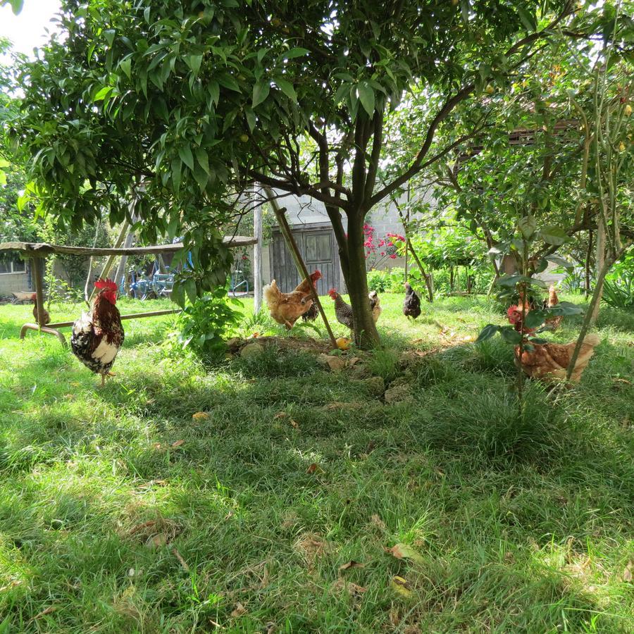 Agroturismo La Casona De Belmonte Ovinana  Bagian luar foto