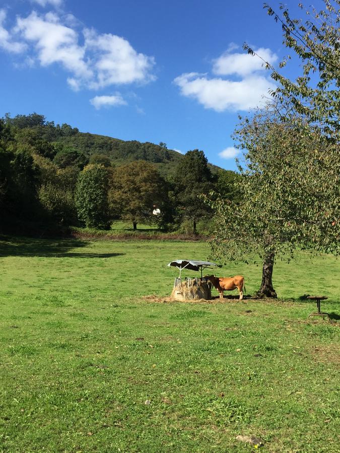 Agroturismo La Casona De Belmonte Ovinana  Bagian luar foto